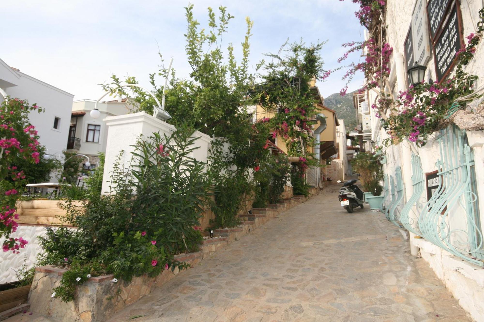 Smart Aparts Kalkan Luaran gambar